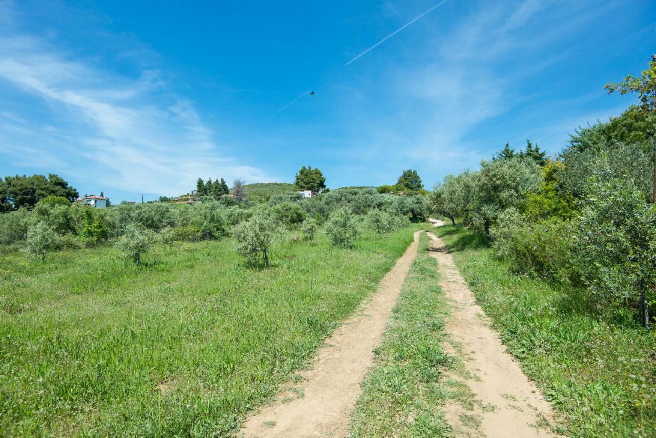 Avaton Farm Villa Ouranoupoli Exterior photo